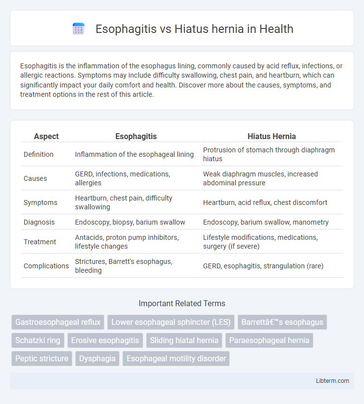 Hiatus hernia vs Esophagitis in Health - What is The Difference?
