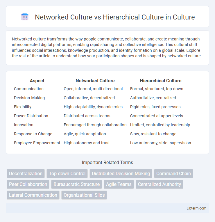 Hierarchical Culture vs Networked Culture in Culture - What is The Difference?