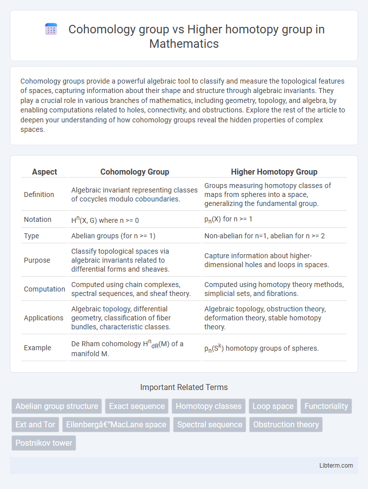 Higher homotopy group vs Cohomology group in Mathematics - What is The Difference?
