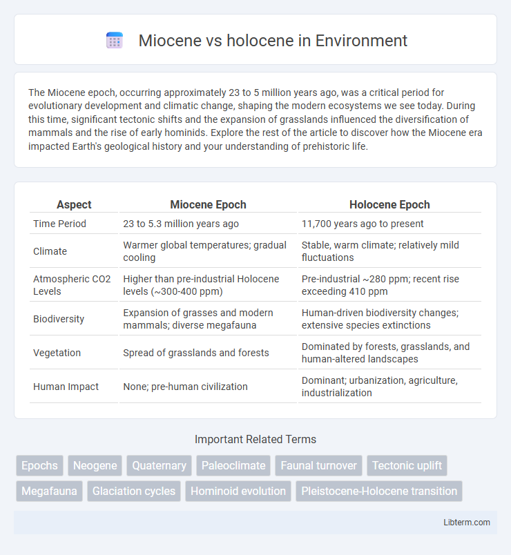 holocene vs Miocene in Environment - What is The Difference?