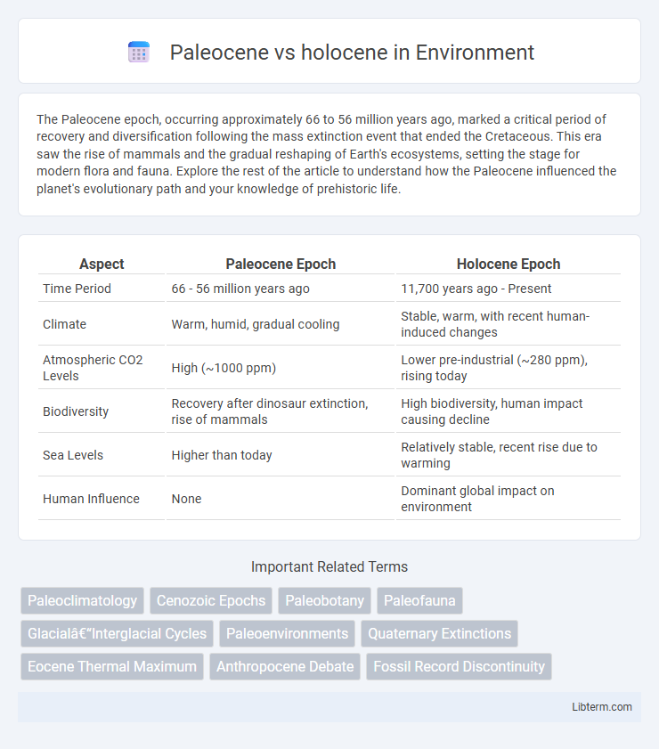 holocene vs Paleocene in Environment - What is The Difference?