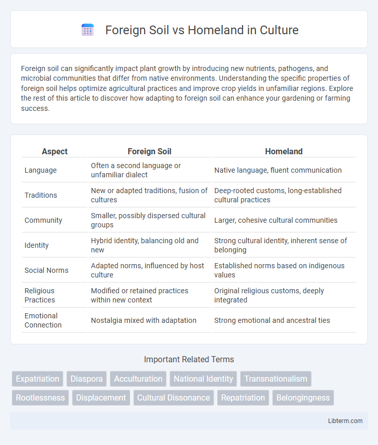 Homeland vs Foreign Soil in Culture - What is The Difference?