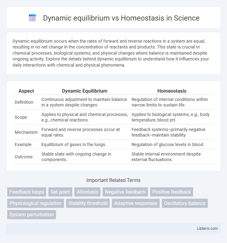 Homeostasis vs Dynamic equilibrium in Science - What is The Difference?