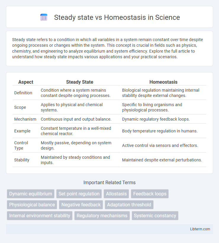 Homeostasis vs Steady state in Science - What is The Difference?