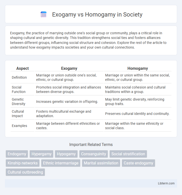Homogamy vs Exogamy in Society - What is The Difference?