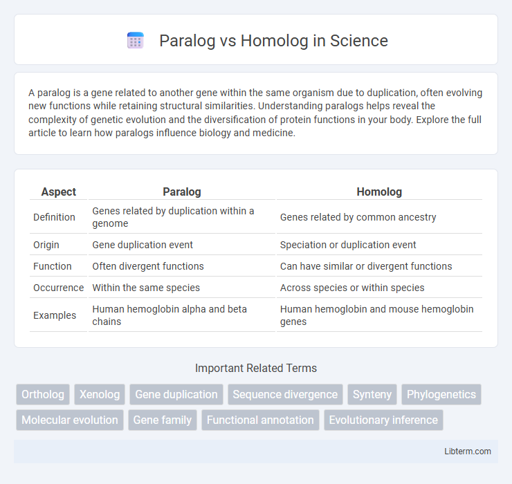 Homolog vs Paralog in Science - What is The Difference?