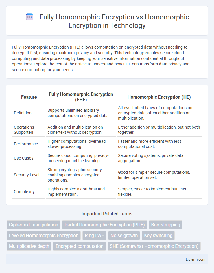 Homomorphic Encryption vs Fully Homomorphic Encryption in Technology - What is The Difference?
