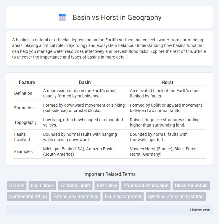 Horst vs Basin in Geography - What is The Difference?
