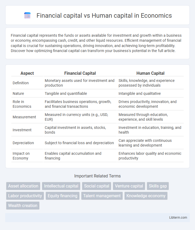 Human capital vs Financial capital in Economics - What is The Difference?