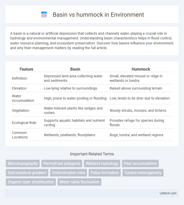 hummock vs Basin in Environment - What is The Difference?