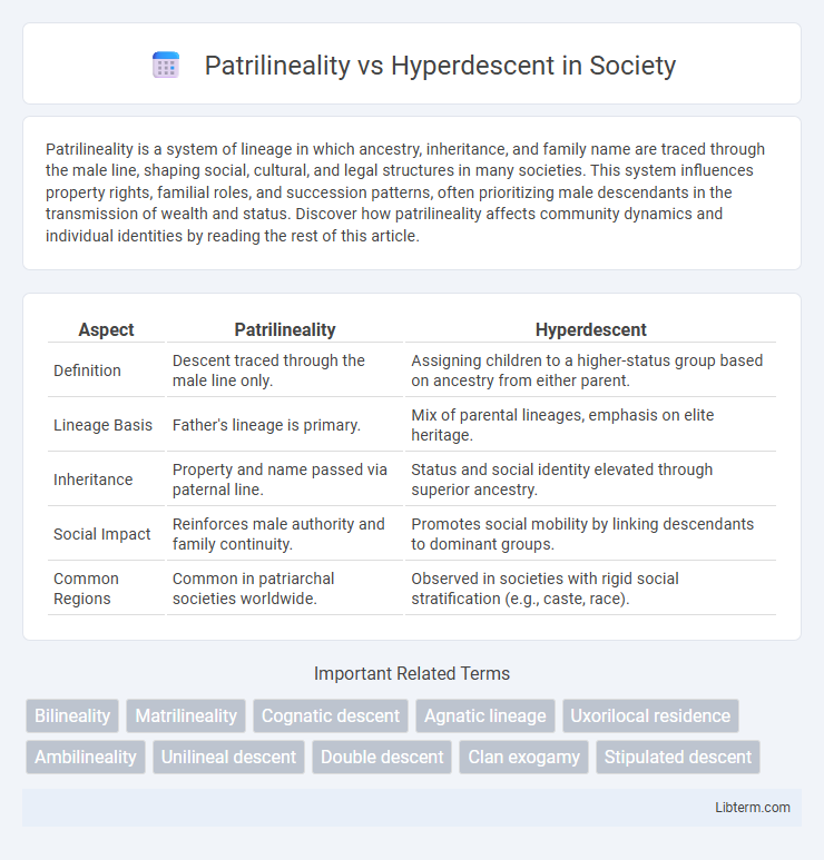 Hyperdescent vs Patrilineality in Society - What is The Difference?