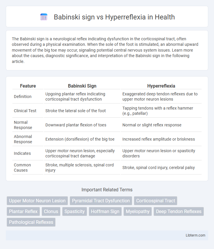 Hyperreflexia vs Babinski sign in Health - What is The Difference?