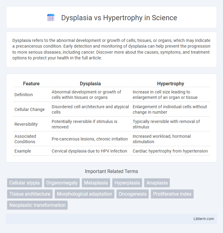 Hypertrophy vs Dysplasia in Science - What is The Difference?