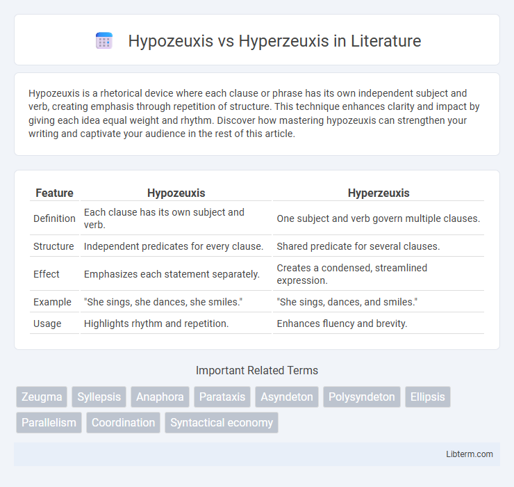 Hyperzeuxis vs Hypozeuxis in Literature - What is The Difference?
