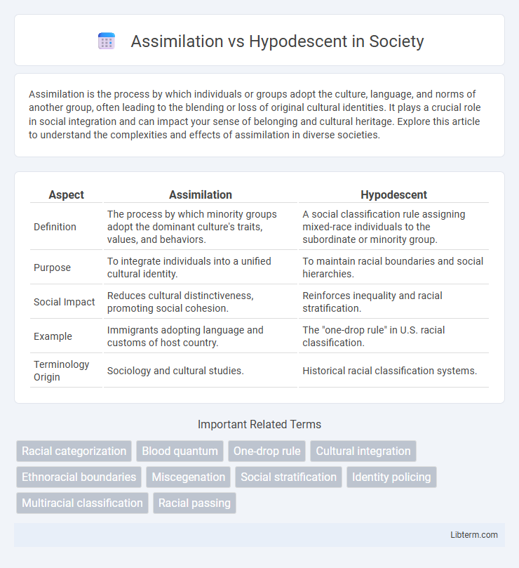 Hypodescent vs Assimilation in Society - What is The Difference?