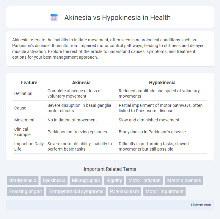 Hypokinesia vs Akinesia in Health - What is The Difference?