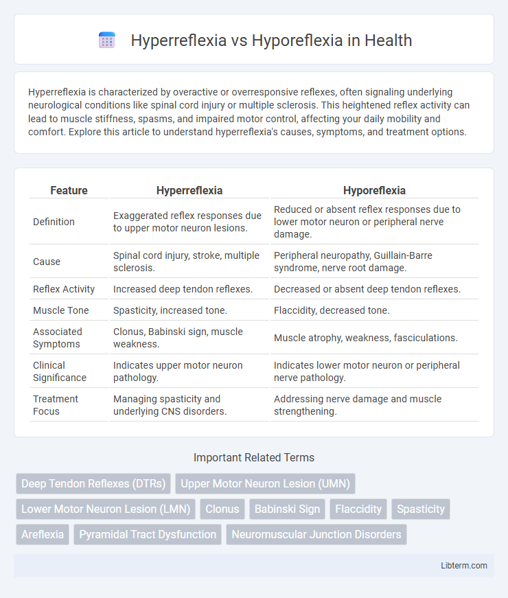 Hyporeflexia vs Hyperreflexia in Health - What is The Difference?