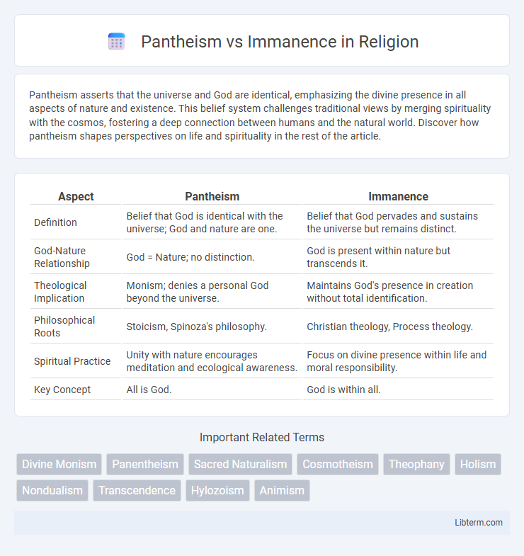 Immanence vs Pantheism in Religion - What is The Difference?