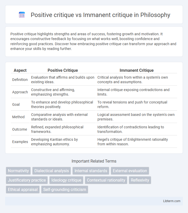 Immanent critique vs Positive critique in Philosophy - What is The Difference?
