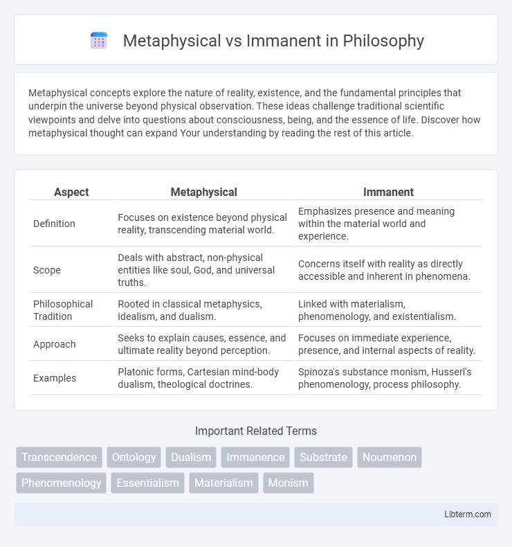 Immanent vs Metaphysical in Philosophy - What is The Difference?