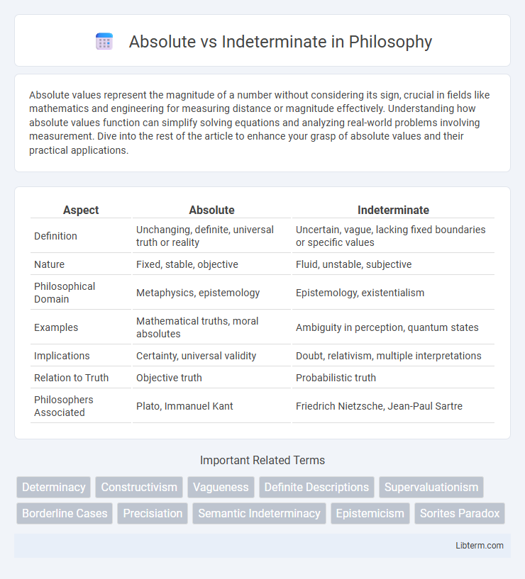 Indeterminate vs Absolute in Philosophy - What is The Difference?