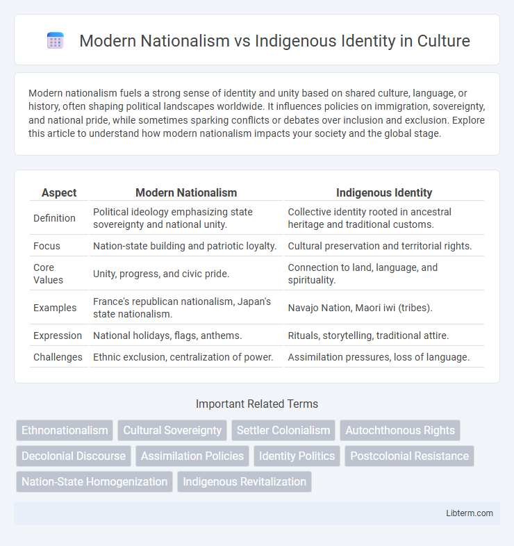 Indigenous Identity vs Modern Nationalism in Culture - What is The Difference?