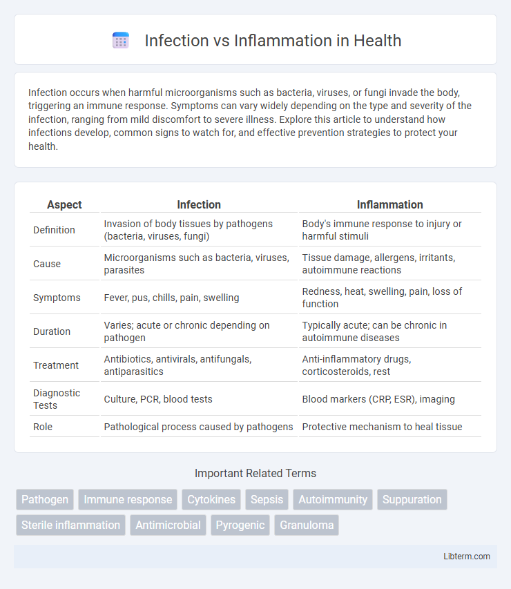 Inflammation vs Infection in Health - What is The Difference?