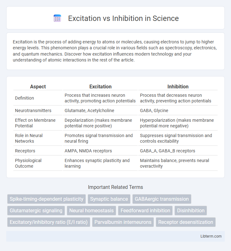 Inhibition vs Excitation in Science - What is The Difference?