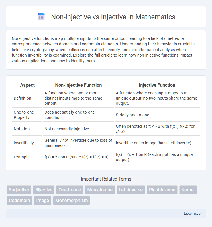 Injective vs Non-injective in Mathematics - What is The Difference?