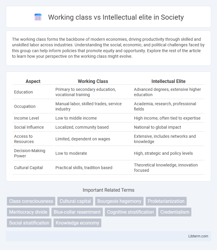 Intellectual elite vs Working class in Society - What is The Difference?