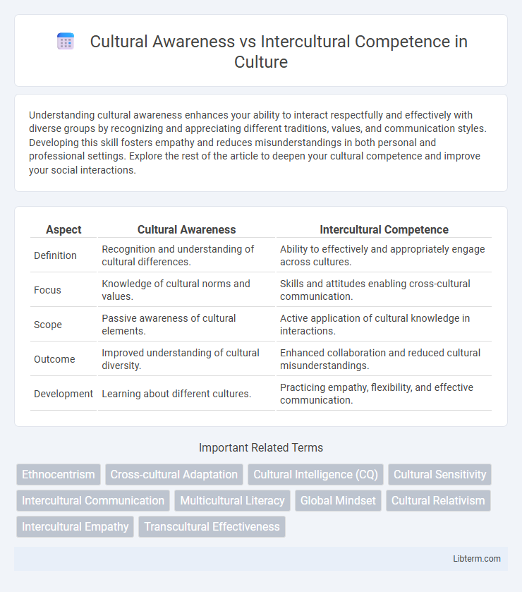Intercultural Competence vs Cultural Awareness in Culture - What is The Difference?