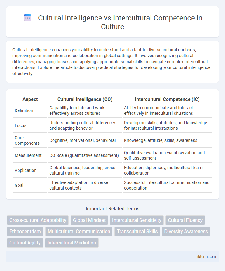 Intercultural Competence vs Cultural Intelligence in Culture - What is The Difference?