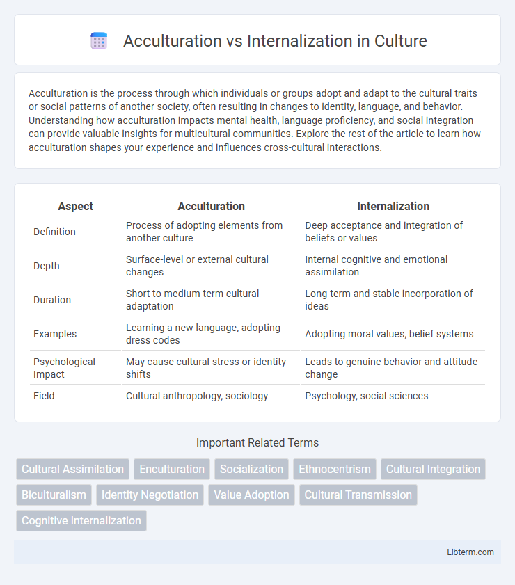 Internalization vs Acculturation in Culture - What is The Difference?
