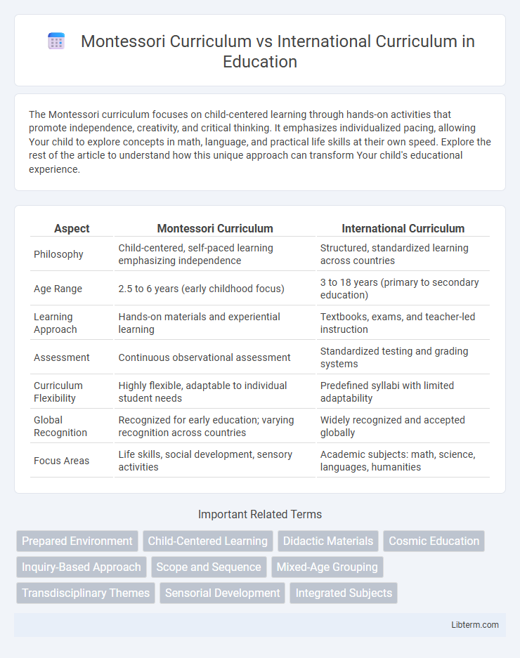 International Curriculum vs Montessori Curriculum in Education - What is The Difference?