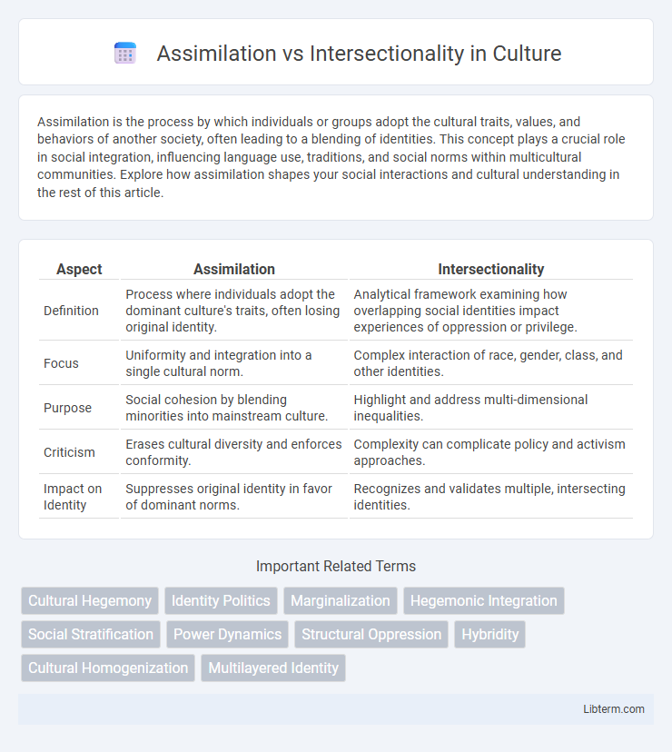 Intersectionality vs Assimilation in Culture - What is The Difference?