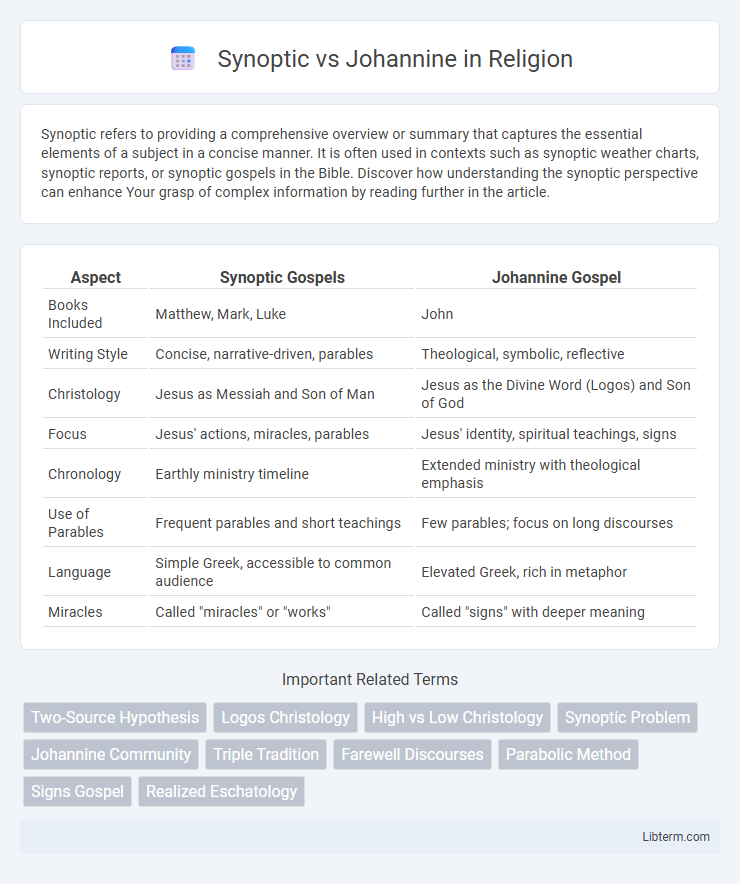 Johannine vs Synoptic in Religion - What is The Difference?