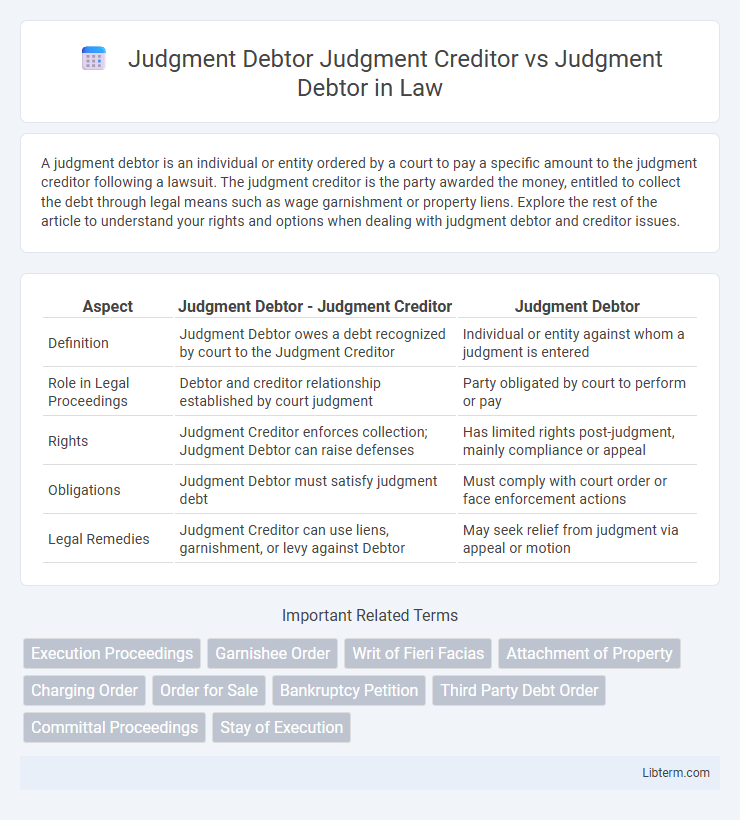 Judgment Debtor vs Judgment Debtor Judgment Creditor in Law - What is The Difference?
