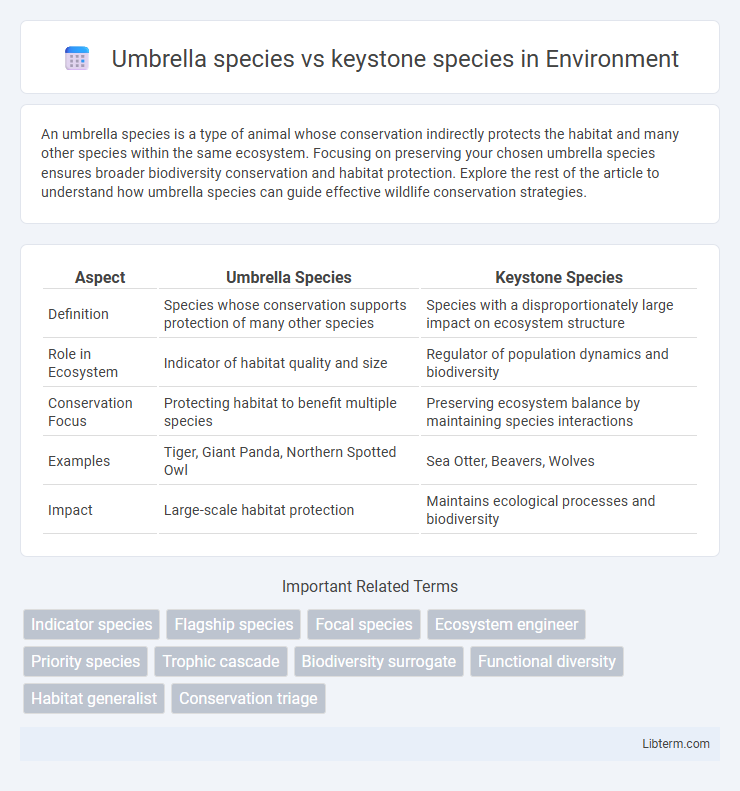 keystone species vs Umbrella species in Environment - What is The Difference?