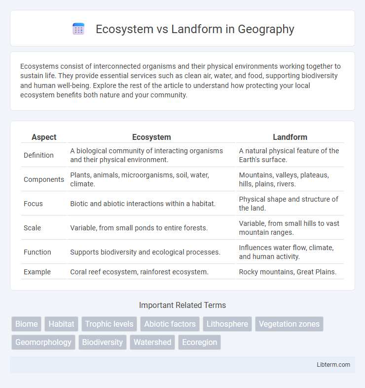 Landform vs Ecosystem in Geography - What is The Difference?