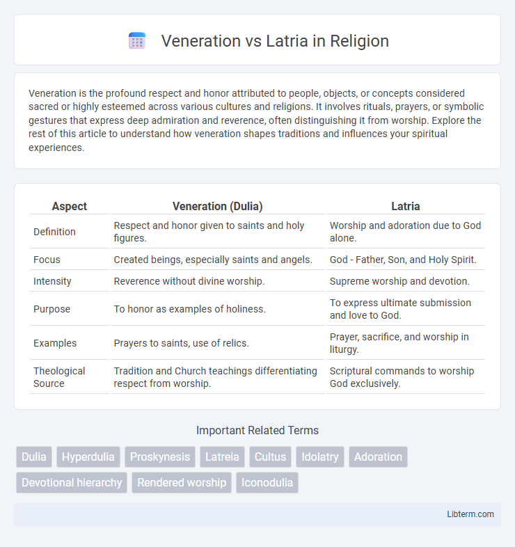 Latria vs Veneration in Religion - What is The Difference?