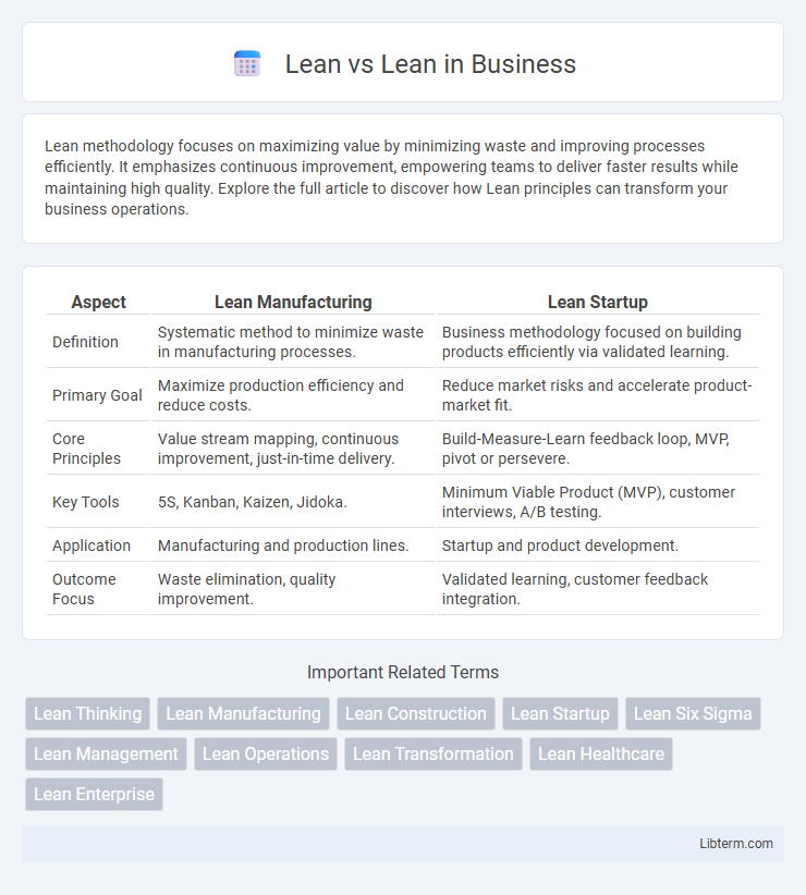 Lean vs Lean in Business - What is The Difference?