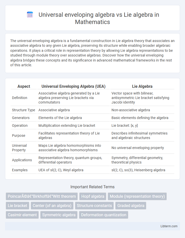 Lie algebra vs Universal enveloping algebra in Mathematics - What is The Difference?