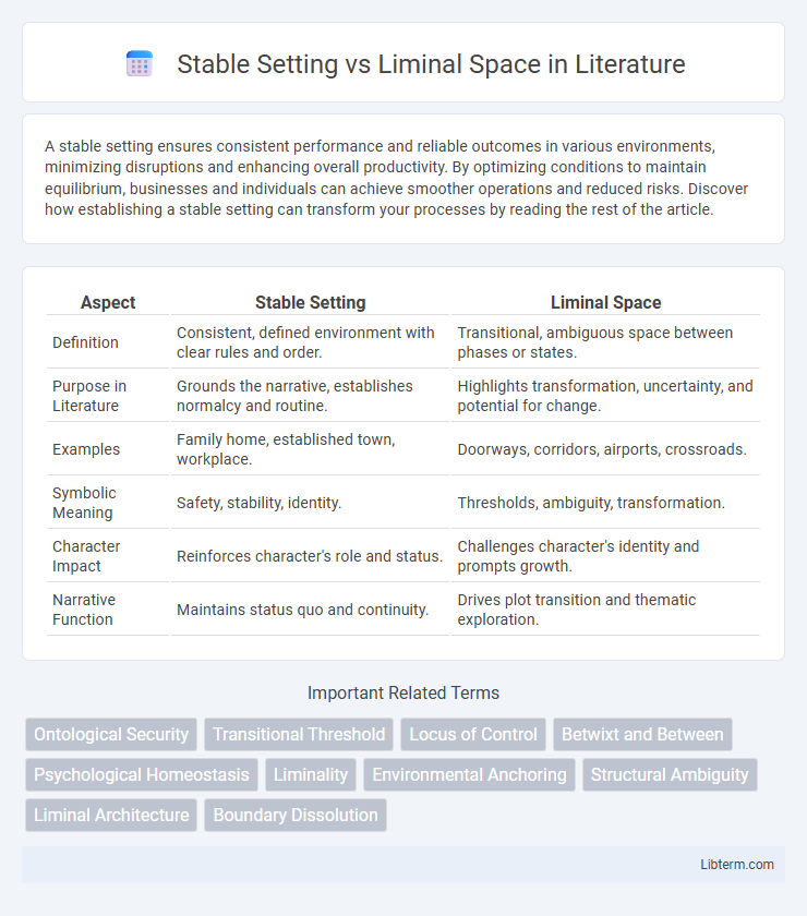 Liminal Space vs Stable Setting in Literature - What is The Difference?