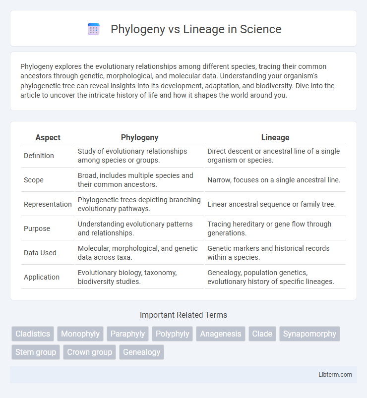Lineage vs Phylogeny in Science - What is The Difference?
