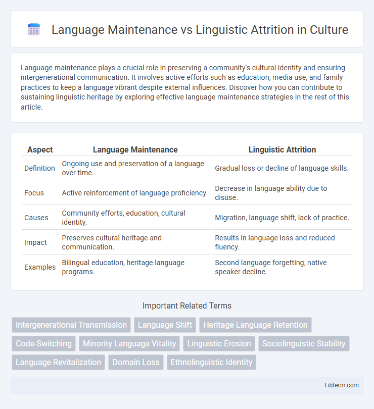Linguistic Attrition vs Language Maintenance in Culture - What is The Difference?