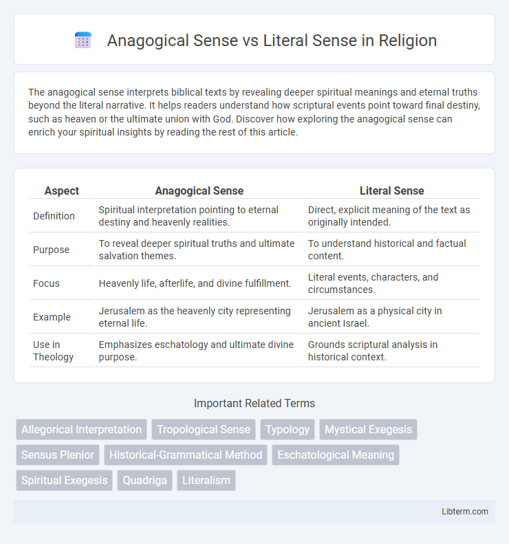 Literal Sense vs Anagogical Sense in Religion - What is The Difference?