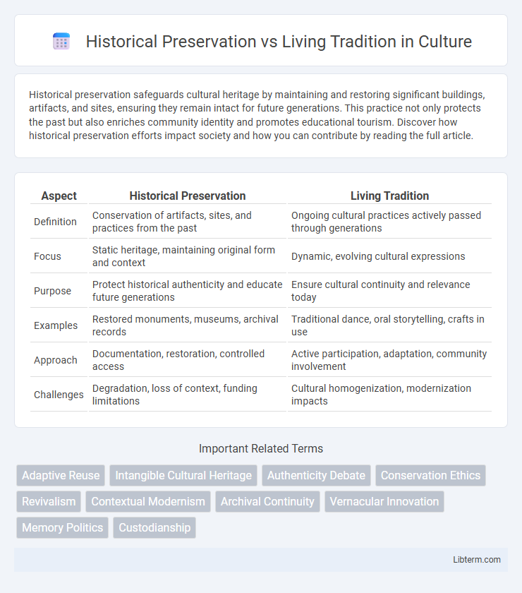 Living Tradition vs Historical Preservation in Culture - What is The Difference?