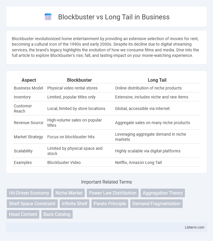 Long Tail vs Blockbuster in Business - What is The Difference?