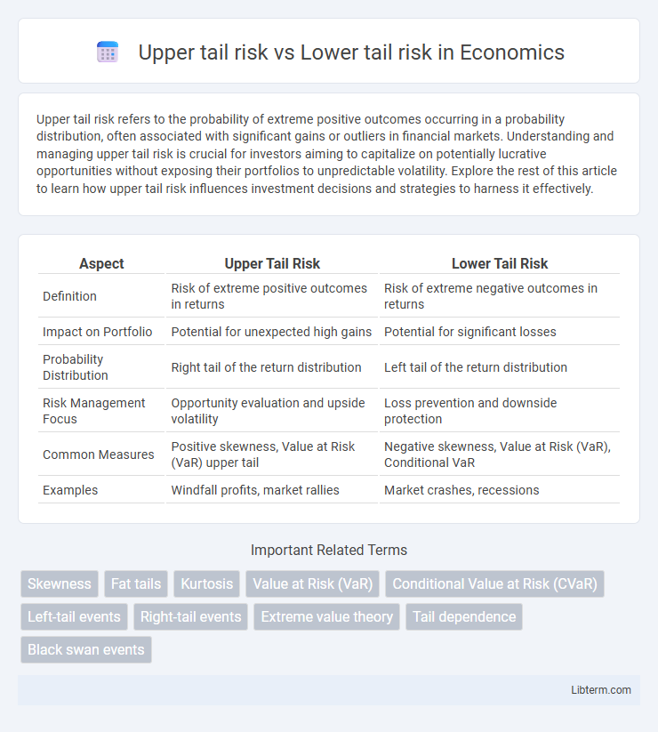 Lower tail risk vs Upper tail risk in Economics - What is The Difference?