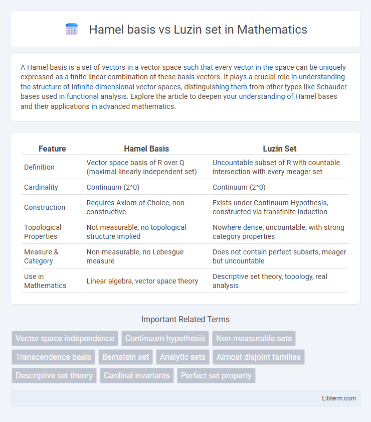 Luzin set vs Hamel basis in Mathematics - What is The Difference?
